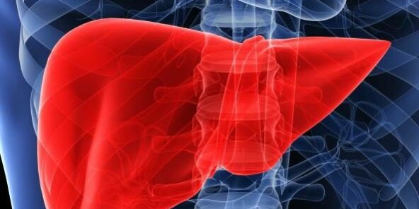 551518_822173347830816_1961614589077700825_n