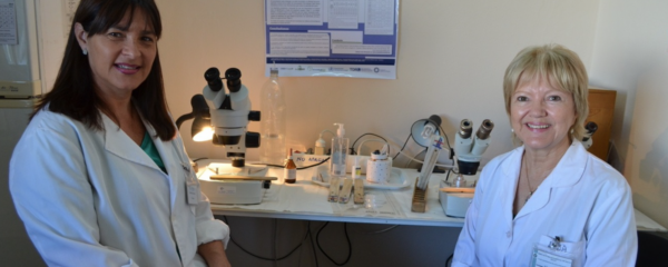 Capture d’écran 2023-04-21 à 11.23.07