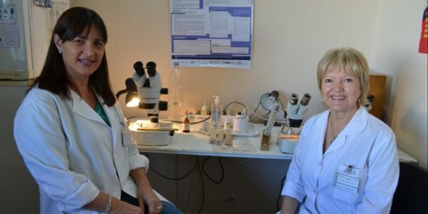 who_050202.tmb-1200v-1200×600