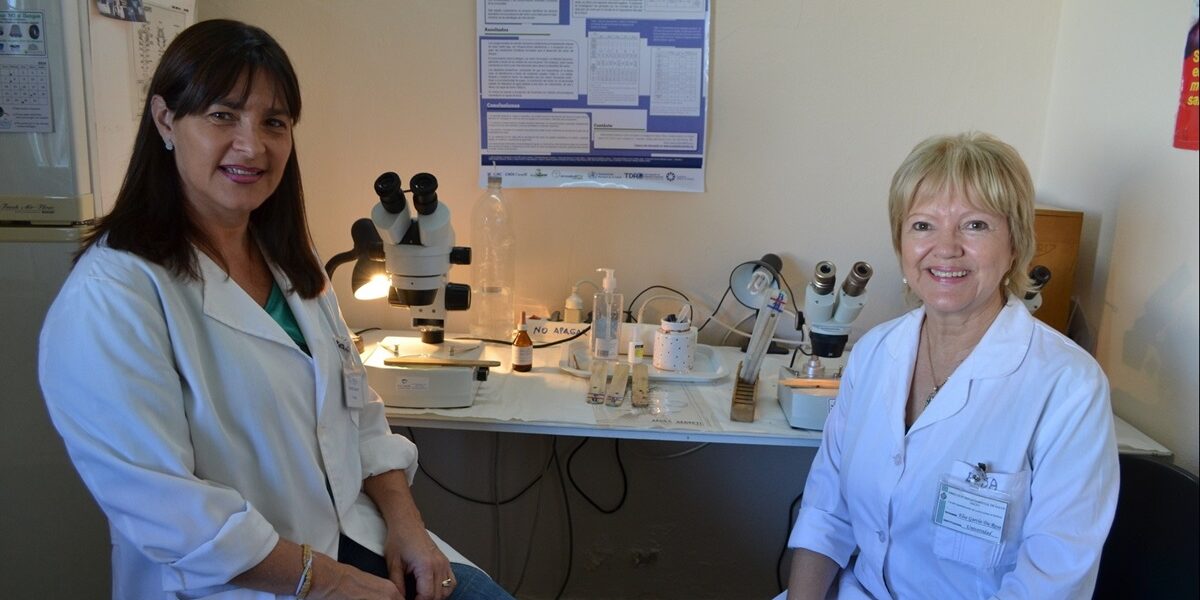 who_050202.tmb-1200v-1200×600