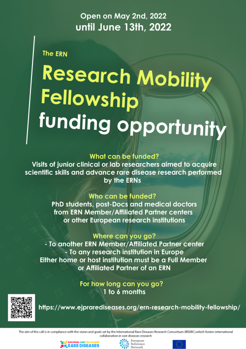 research-mobility-fellowship-2022